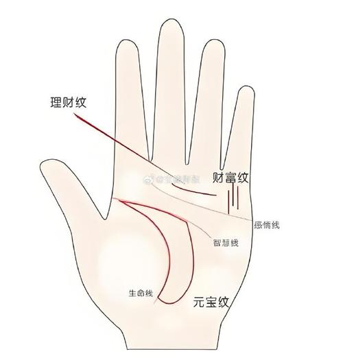手相事業線怎麼看