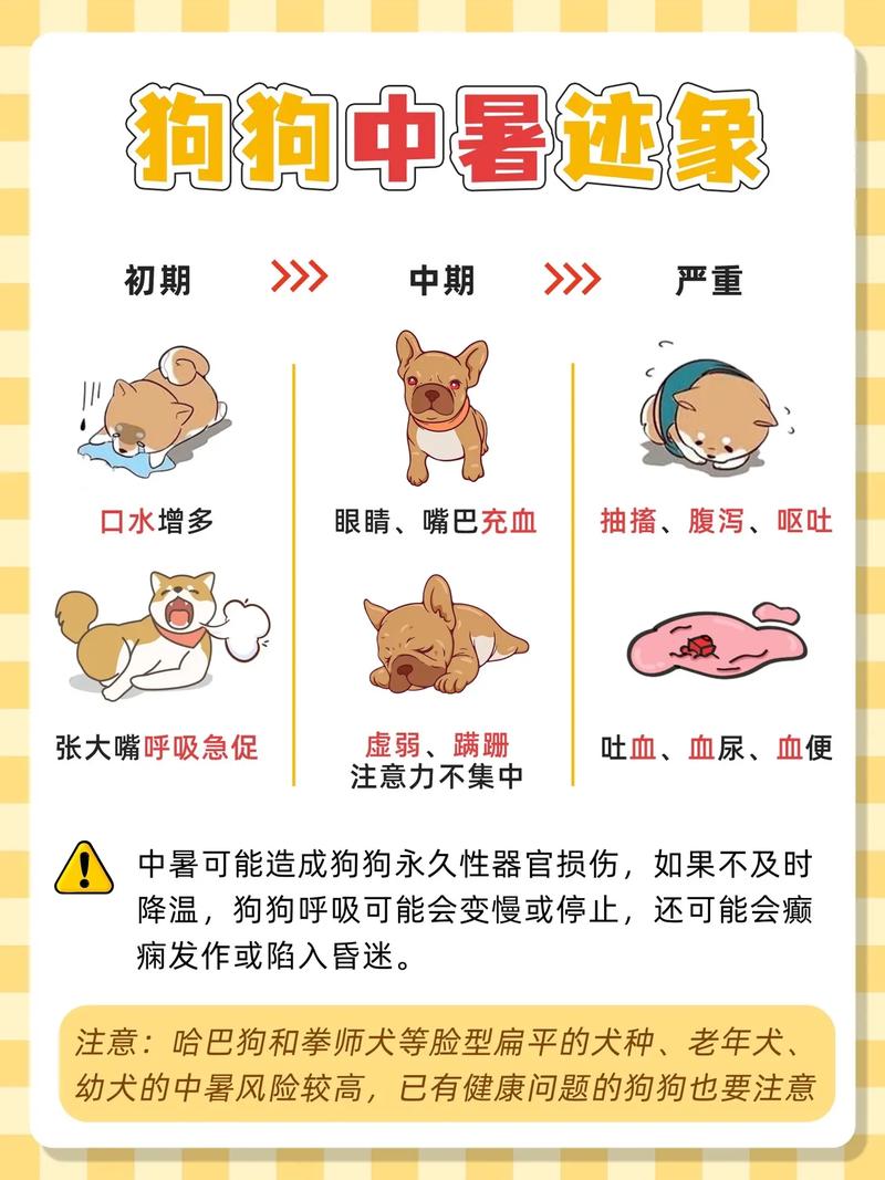 如何知道狗狗很熱