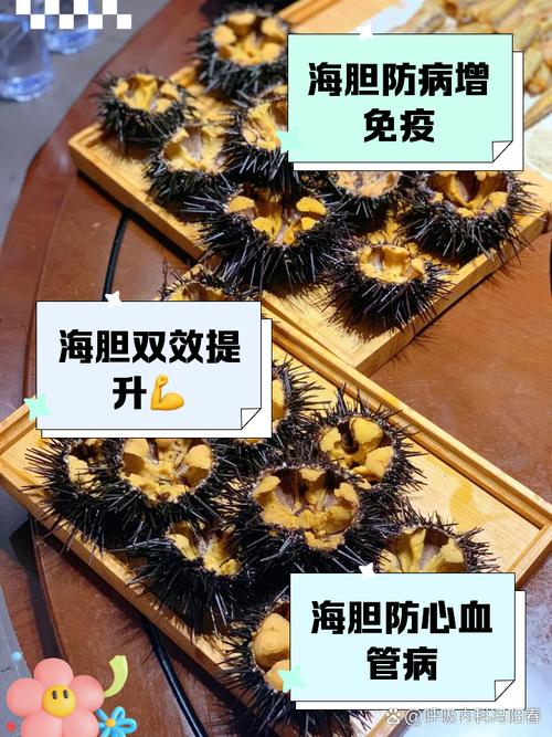 產婦可以吃海膽嗎