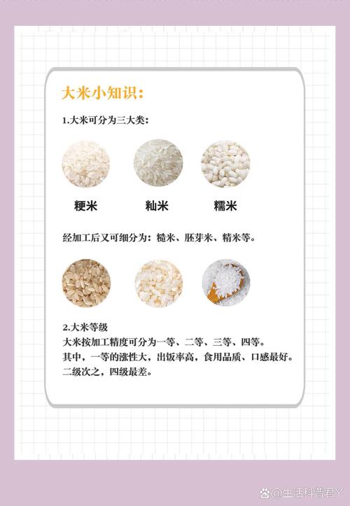 大米是指什麼米