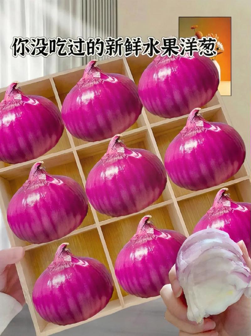 嬰兒可以吃洋蔥嗎