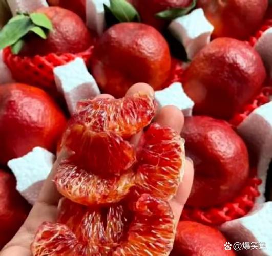 血紅素不足吃什麼水果