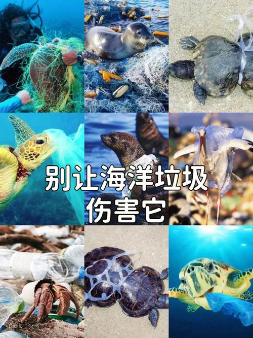 海洋中大部分的垃圾是什麼