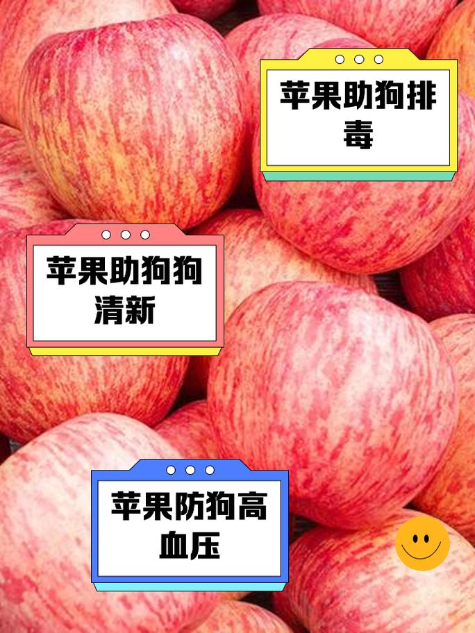 狗狗吃蘋果要去皮嗎