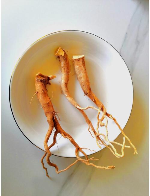 南非醉茄:揭秘古老適應原的現代應用、功效與聰明選購指南 3 南非醉茄