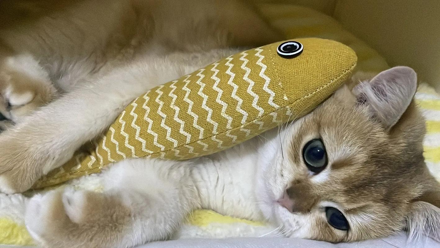 側睡會變醜嗎?深度解析側睡對臉部美學的影響與全方位保養對策 1 側睡會變醜嗎