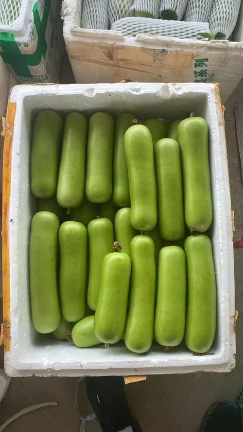 胡瓜是幾年次的