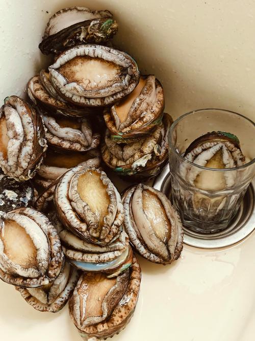 鮑魚能放多久?從新鮮到乾貨,一篇搞懂鮑魚完美保存的黃金法則與專家秘訣! 3 鮑魚能放多久