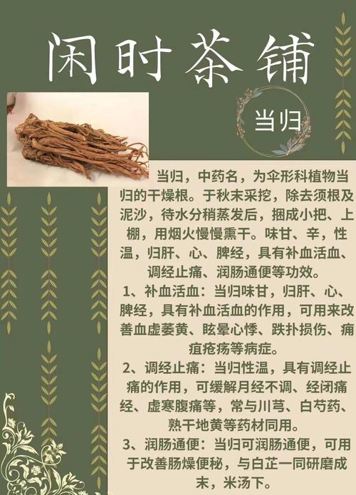月經來可吃當歸嗎?中醫師深度解析月經期間當歸食補的學問與禁忌 1 月經來可吃當歸嗎