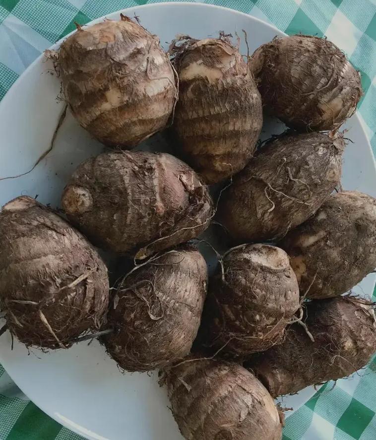 芋頭什麼顏色