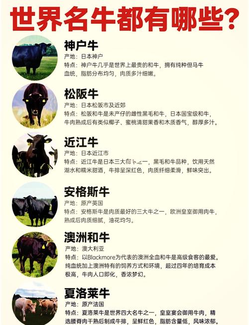 伊斯蘭教可以吃牛嗎