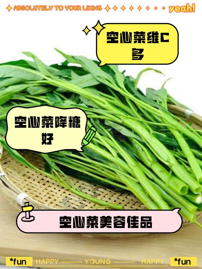 寶寶可以吃空心菜嗎?解锁寶寶輔食新選擇,新手爸媽必看詳解! 3 寶寶可以吃空心菜嗎
