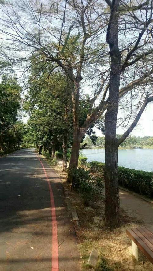 澄清湖門票多少錢?高雄澄清湖門票資訊、優惠與遊玩攻略全解析 3 澄清湖門票多少錢