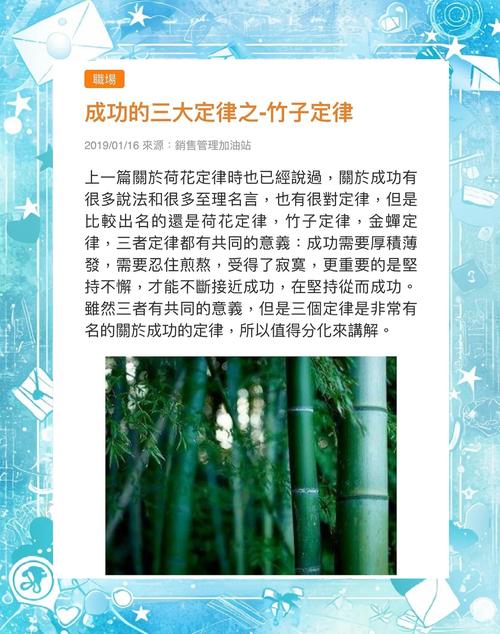 什麼是竹子定律