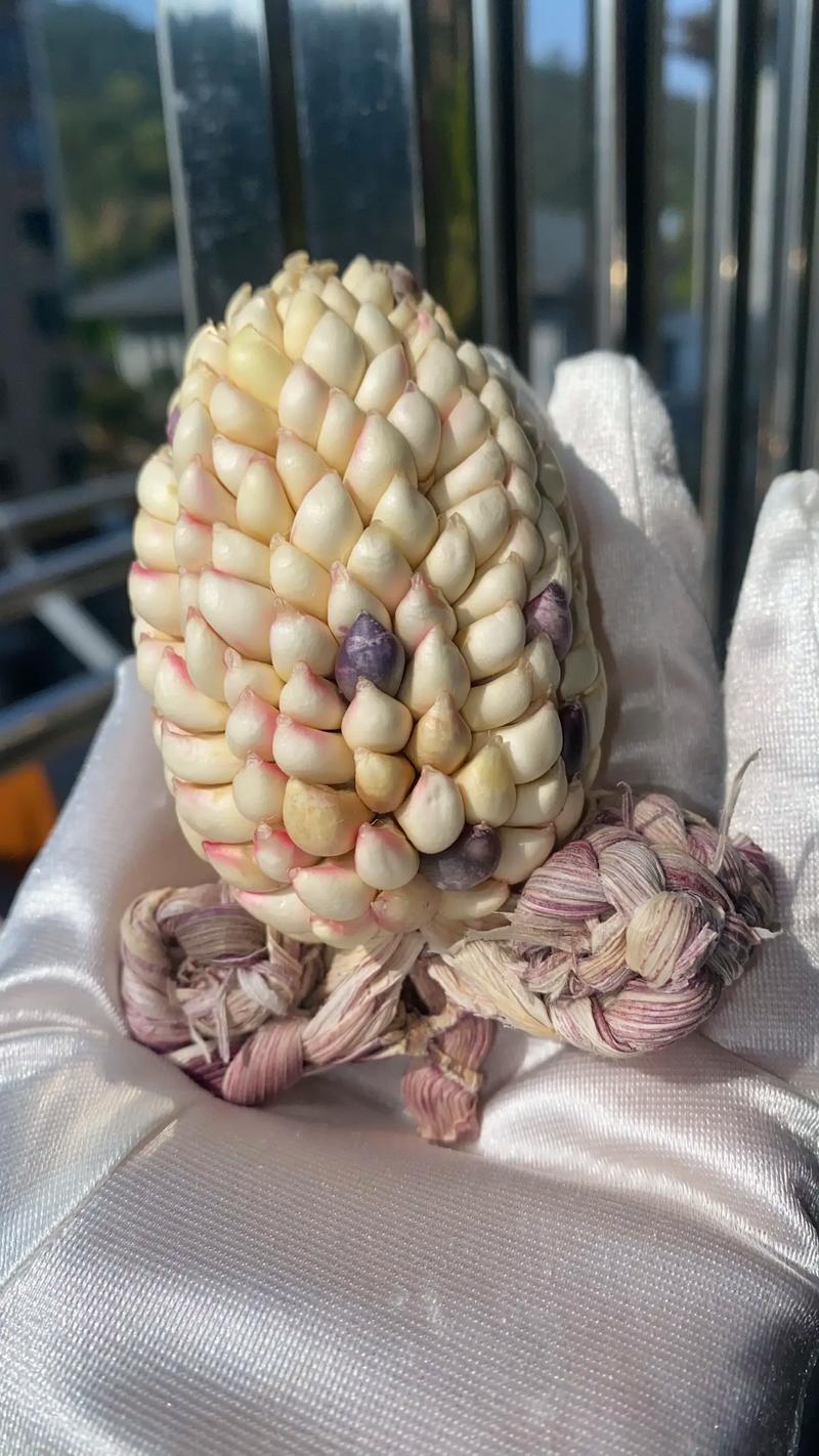 文玩玉米是什麼?從傳統到現代的迷人藝術品 1 文玩玉米是什麼