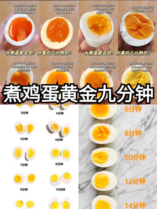 蛋多久消化