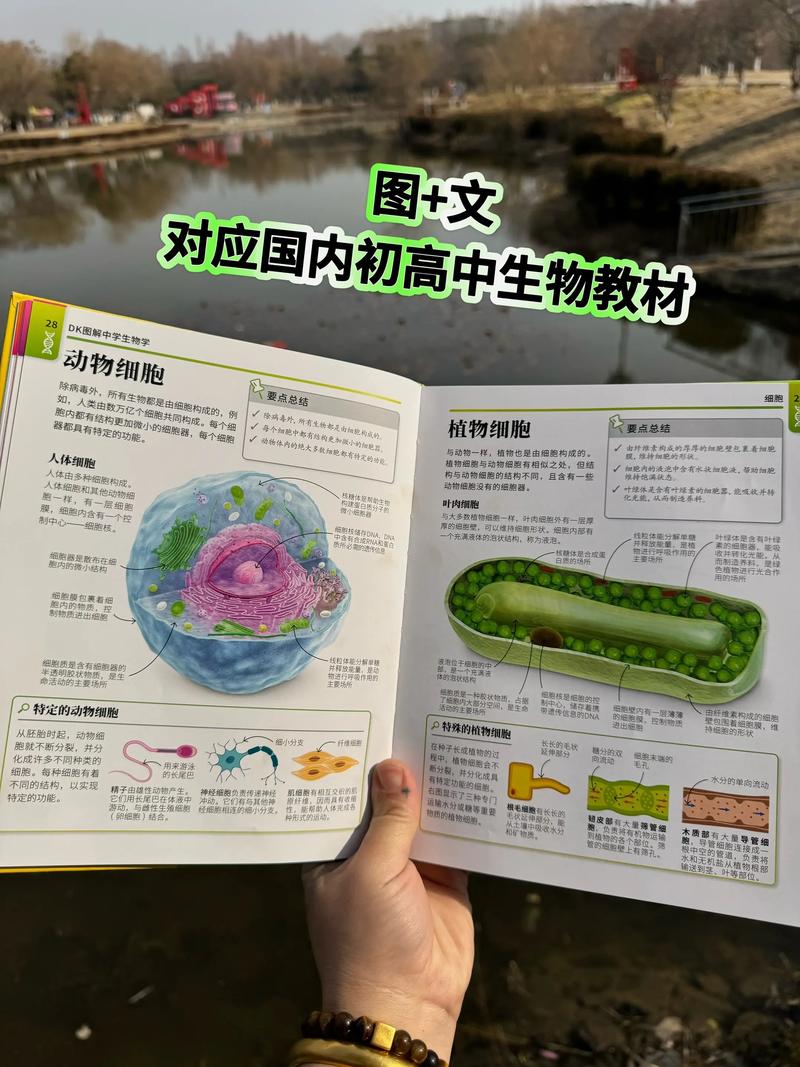 生物資訊在學什麼:深入解析跨領域的知識體系與應用 3 生物資訊在學什麼