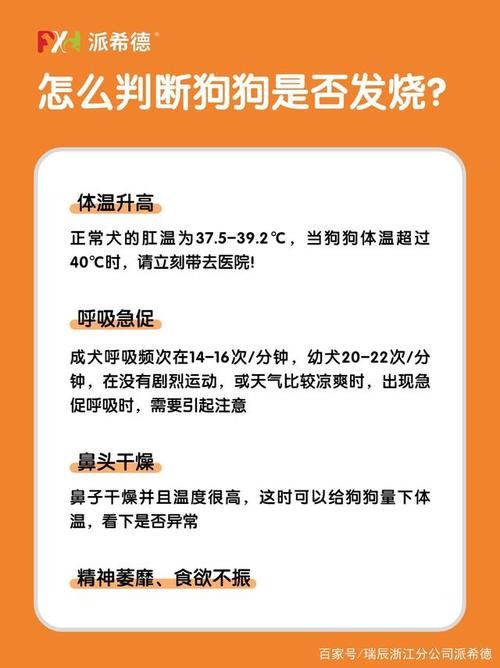 狗狗正常體溫全解析:掌握愛犬健康指標,關鍵時刻不慌張 1 狗狗正常體溫