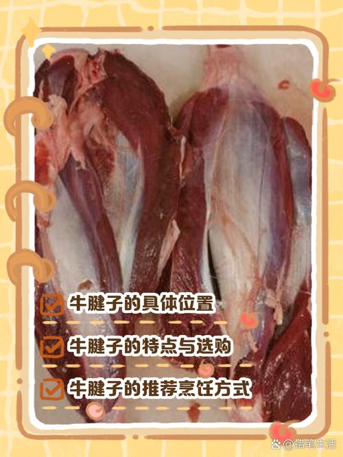 牛腱有分等級嗎?老饕必懂的挑選秘訣與部位解析 1 牛腱有分等級嗎