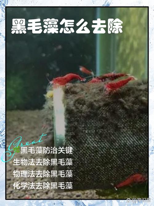 怎麼去文藻?文藻大學交通攻略與校園周邊導覽,輕鬆抵達又便利! 1 怎麼去文藻