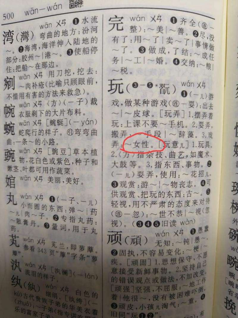 是什麼意思？從符號解析到在數位時代的意義