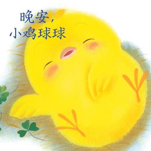 晚安小雞哪裡人