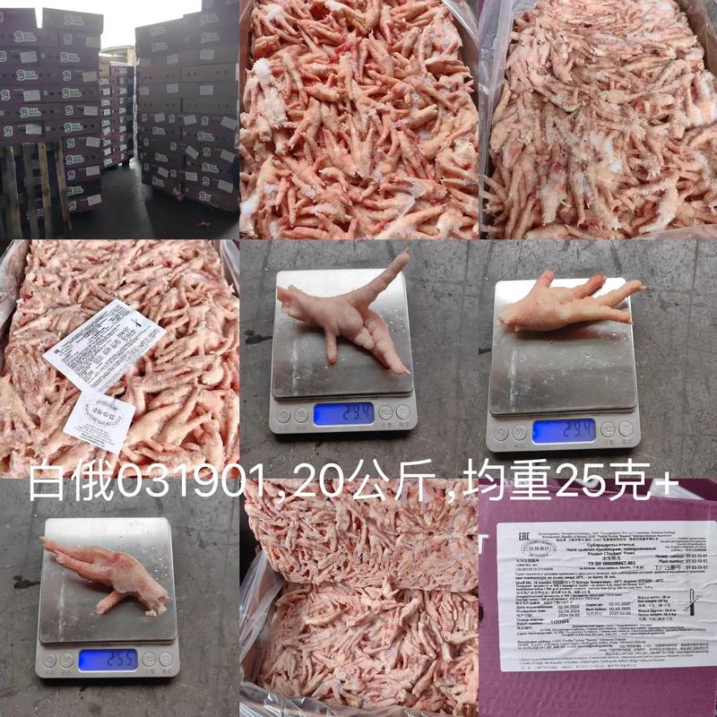 冷凍食品是加工食品嗎