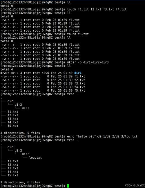 linuxcp資料夾