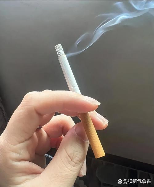 辦公室可以抽煙嗎