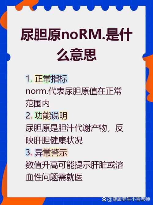 norm是什麼