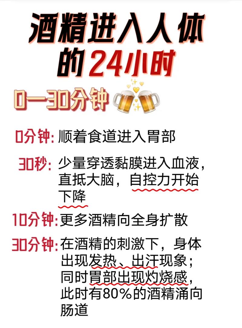 酒精要多久才會代謝