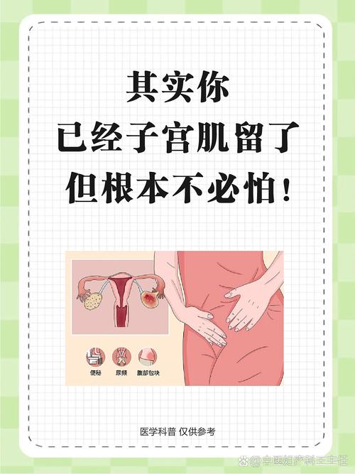 子宮肌瘤怕什麼?揭開迷霧,找出最讓肌瘤「畏懼」的關鍵 3 子宮肌瘤怕什麼