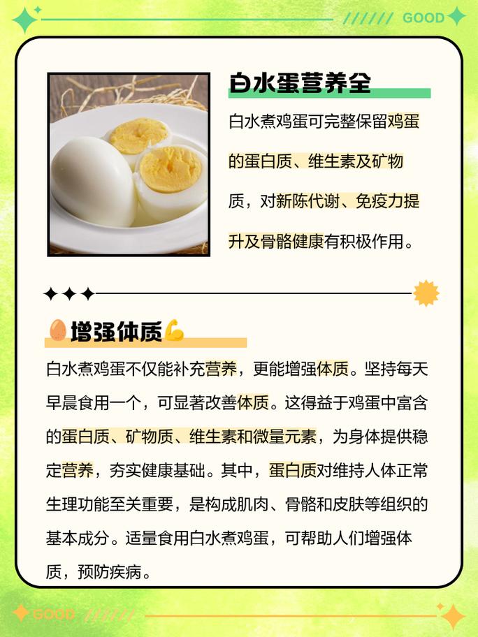 每天吃一顆水煮蛋膽固醇會高嗎?破解迷思,專業解析與飲食建議 3 每天吃一顆水煮蛋膽固醇會高嗎