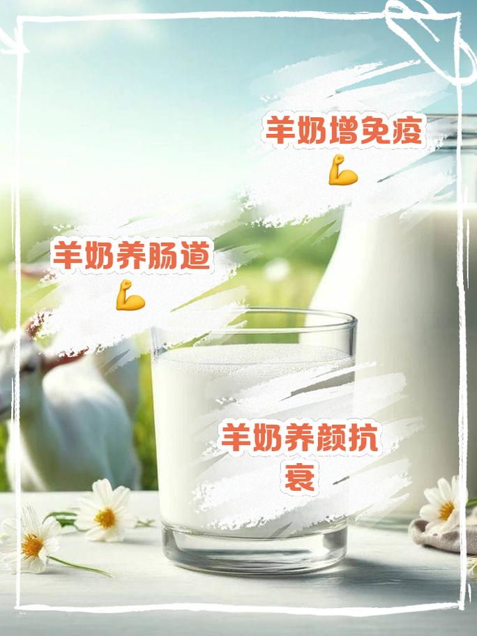 睡前喝羊奶好嗎