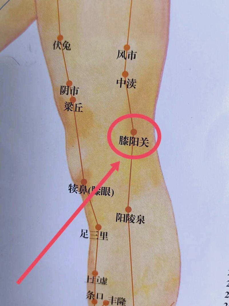 陽關在哪