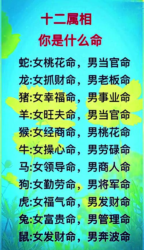什麼是好命