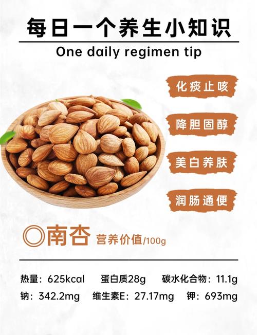 杏仁是堅果嗎