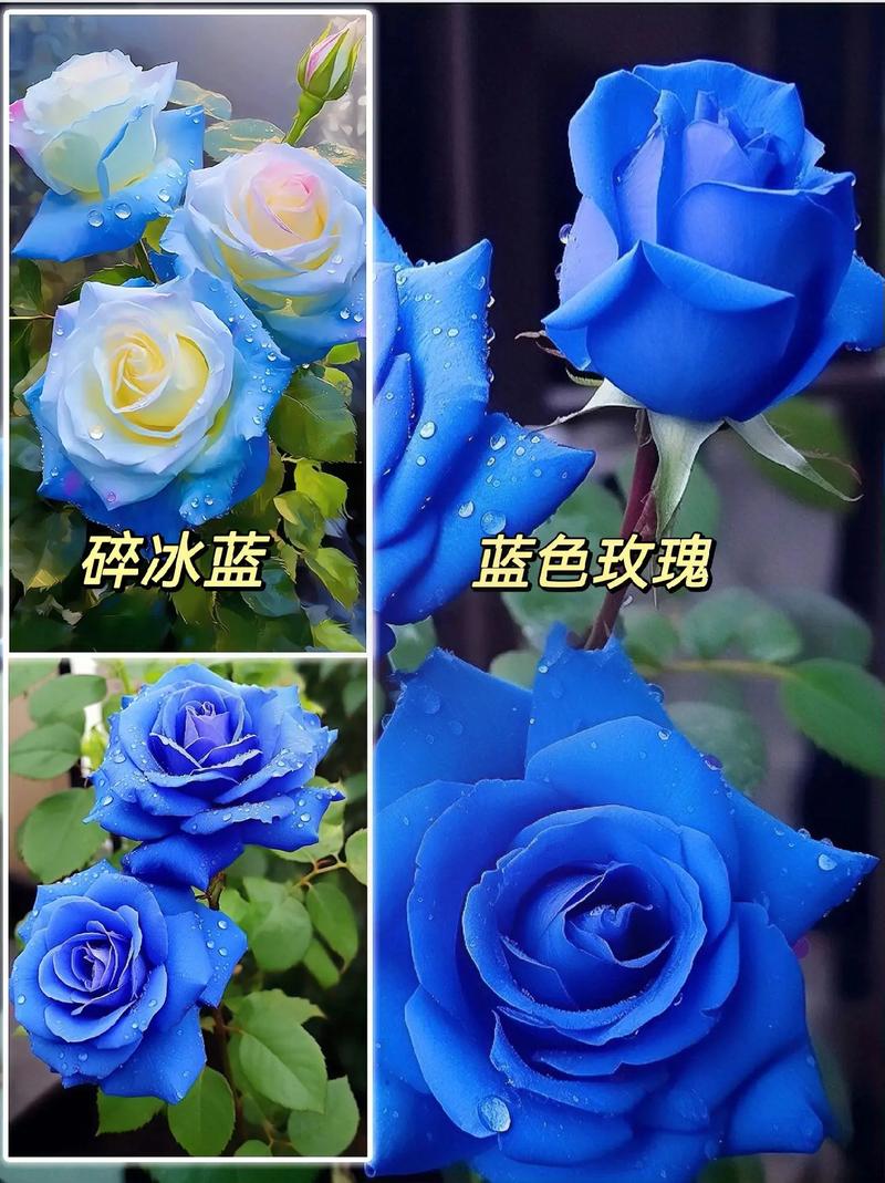 藍色可以用什麼形容?從天空到海洋,探索藍色的無限可能與意境 3 藍色可以用什麼形容