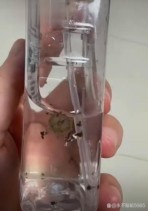 酒精可以殺霉菌嗎?居家除霉與酒精消毒的專業解析 1 酒精可以殺霉菌嗎