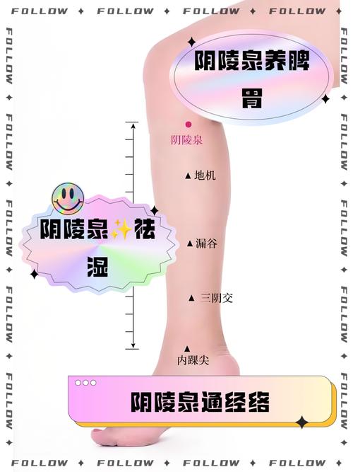陰陵泉穴在哪裡