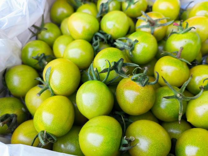 哪一種番茄比較甜?解密香甜滋味的奧秘與挑選秘訣 3 哪一種番茄比較甜