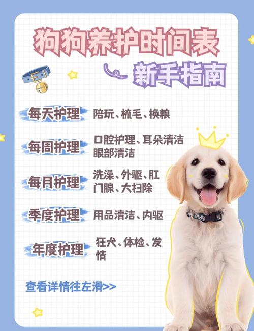 小狗懶擦鞋意思