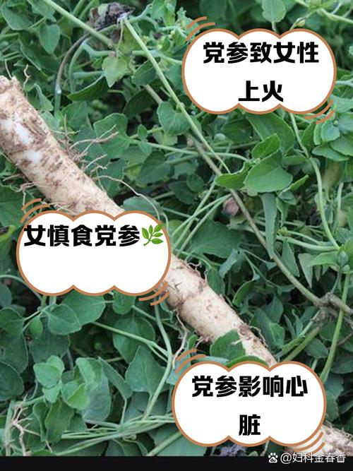 心律不整可以吃人參嗎