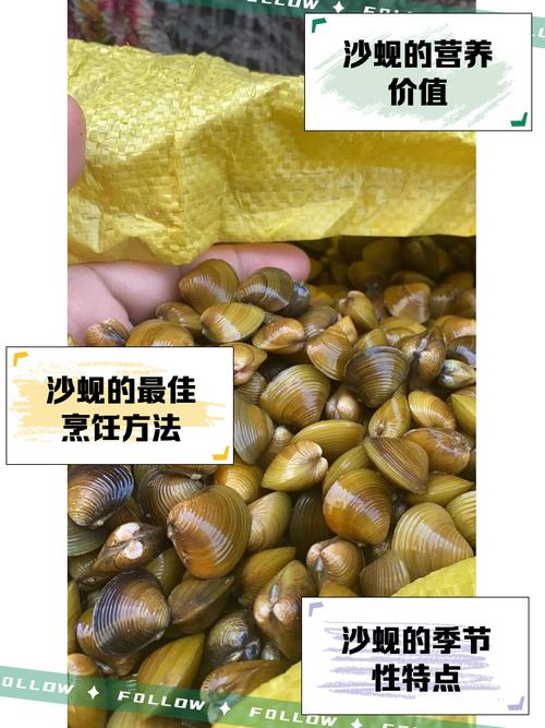 蜆能放多久?保鮮秘訣與儲存大全,讓你吃的安心又新鮮! 3 蜆能放多久