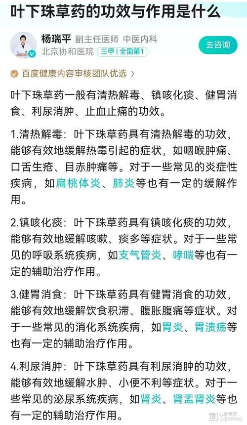 葉下珠的功效與妙用:從傳統智慧到現代科學的深度解析 1 葉下珠有什麼作用