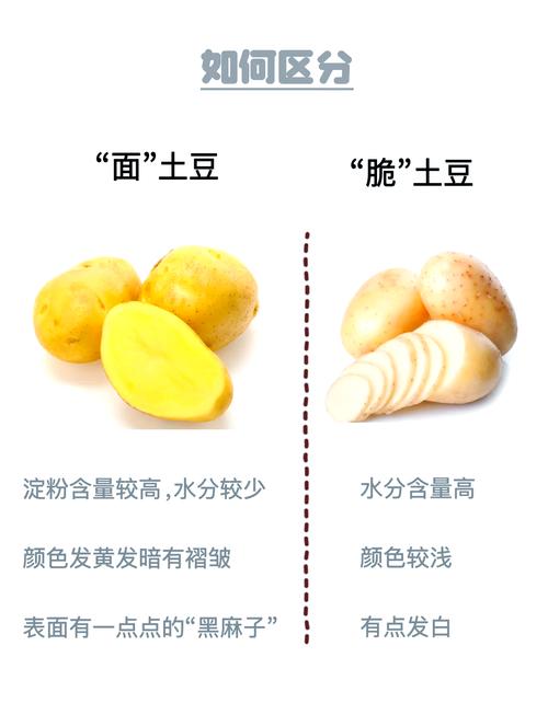 馬鈴薯怎麼煮才會脆