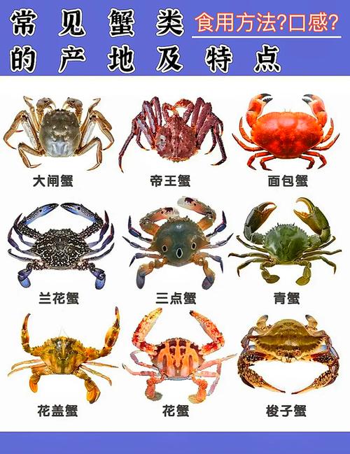 蟹幾隻腳