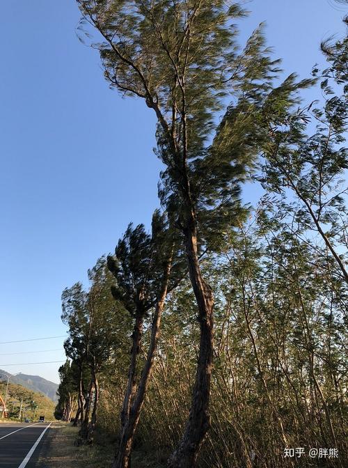 落山風在哪裡