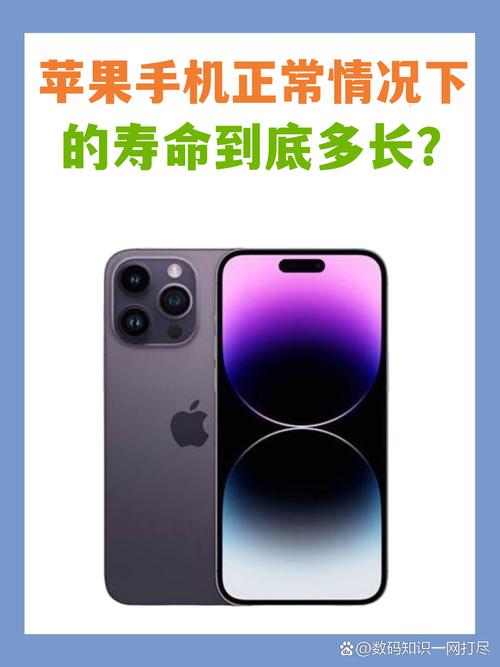 iPhone 適合老人用嗎