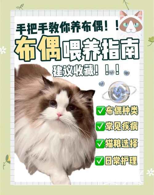 不要的布偶怎麼處理?別再亂丟,這些環保又溫馨的去處你一定要知道! 3 不要的布偶怎麼處理